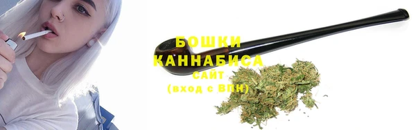 ешки Арсеньев