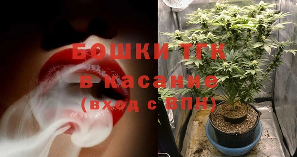 ешки Арсеньев