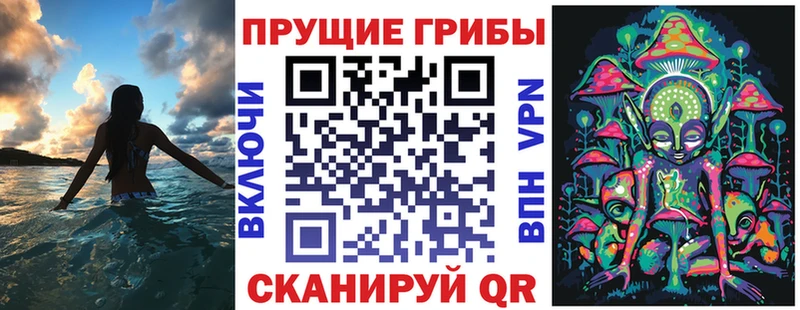 сколько стоит  Сунжа  Галлюциногенные грибы GOLDEN TEACHER 