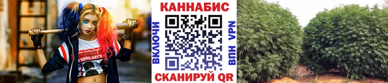 где купить наркоту  гидра как войти  Бошки Шишки White Widow  Сунжа 